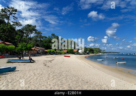 France, Gironde, Arcachon Bay, L'Herbe, sandy cove at the foot of houses and pine trees overlooking a beach Stock Photo
