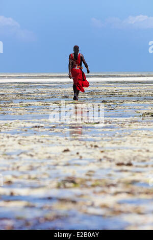 Kenya, Malindi district, Masai of Amboseli used as guard of hotel Model release disponible Stock Photo