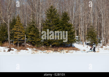 Canada, Quebec province, Eastern Townships (Estrie), Bonsecours, dogsledding with Nordik Adventures Stock Photo