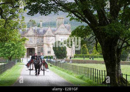 Ireland, County Kerry, Killarney, Muckross House and Gardens, horse carriage ride in the park Stock Photo