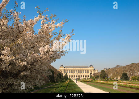 France, Paris, the Jardin des Plantes (Botanical Garden) in springtime Stock Photo