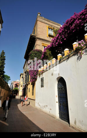 Spain, Andalucia, Seville, district of Santa Cruz, pedestrians in an alley Stock Photo