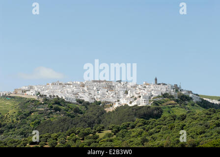 Spain, Andalucia, Andalucia, Vejer de la Frontera, white village Stock Photo