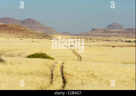 Namibia, Damaraland, Palmwag Concession, Empty road on grass in desert Stock Photo