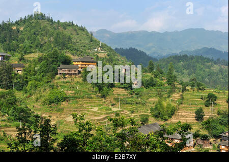 China, Guangxi Province, Longsheng, rice terraces at Longji, Dazhai village Stock Photo
