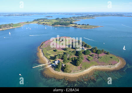 France, Morbihan, Sarzeau, gulf of Morbihan, Brannec island and Moines island in the background (aerial view) Stock Photo