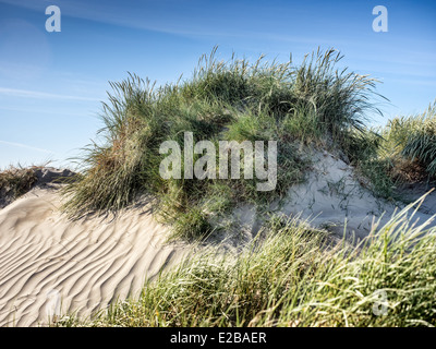 Dune on Rindby beach on the island Fanoe in Denmark Stock Photo