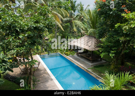 Indonesia, Bali, Tabanan, hotel Puri Taman Sari, swimming pool in the jungle Stock Photo
