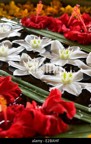 Indonesia, Bali, Ubud, Buahan Payangan, Ubud Hanging Gardens hotel group Orient-Express, floral decoration Stock Photo