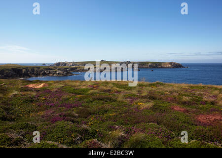 France, Finistere, Iroise Sea, Iles du Ponant, Parc Naturel Regional d'Armorique (Armorica Regional Natural Park), Ile d'Ouessant, coastal path around the Baie de Béninou Stock Photo