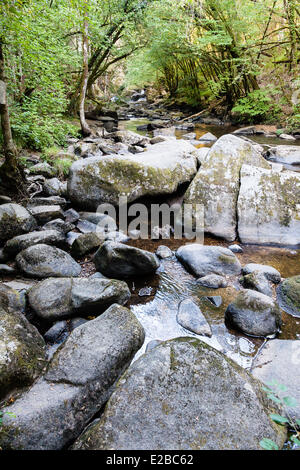 France, Dordogne, Perigord Vert, Champs Romain, river, le Saut du Chalard Stock Photo