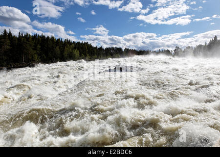 Sweden, Lapland, Norrbotten County, Storforsen waterfall, the biggest natural cataracts of Europe Stock Photo