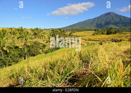 Indonesia, Bali, the rice fields of Jatiluwih, the subak system, listed as World Heritage by UNESCO, cooperative water management since the 9th century which reflecting the philosophical concept of Tri Hita Karana to be in harmony with the realms of the mind, the human world and nature Stock Photo