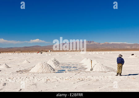 Bolivia, Potosi Department, Salar de Uyuni (3653 m), the biggest salt reserve in the world, salt worker collecting salt Stock Photo