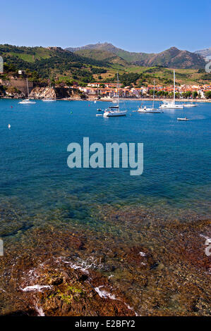 France, Pyrenees Orientales, Cote vermeille, Collioure, Beach Stock Photo