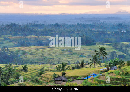 Indonesia, Bali, the rice fields of Jatiluwih, the subak system, listed as World Heritage by UNESCO, cooperative water management since the 9th century which reflecting the philosophical concept of Tri Hita Karana to be in harmony with the realms of the mind, the human world and nature Stock Photo