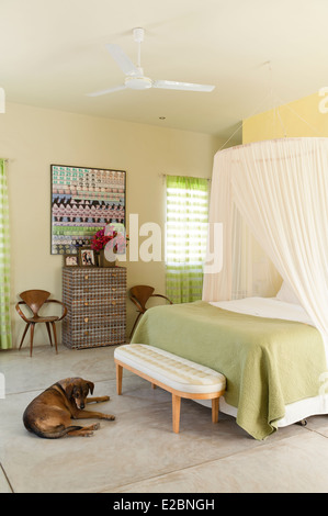 Pastel green bedroom in Baja home of English interior designer Jenny Armit Stock Photo