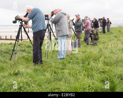 Redcar Cleveland, UK. 18th June, 2014. Twitchers on the North Sea Coast at Redcar Cleveland UK 18th June, hoping to see a rare Black Scoter Melanitta America a vagrant from North America which has been seen there.  Their task is made difficult because the bird is in a large flock of Common Scoter Melanitta Nigra from which the American Bird only differs by having a slightly larger bill. Credit:  Peter Jordan NE/Alamy Live News Stock Photo