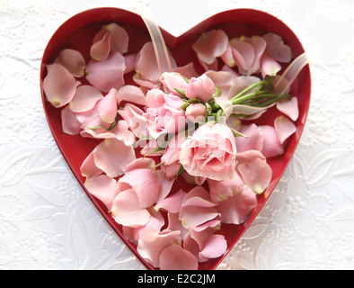 pink flowers and petals in a red heart-shaped box Stock Photo