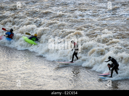 Surfers and canoeists riding the Severn Bore at Newnham-on-Severn, Gloucestershire UK 2014 Stock Photo