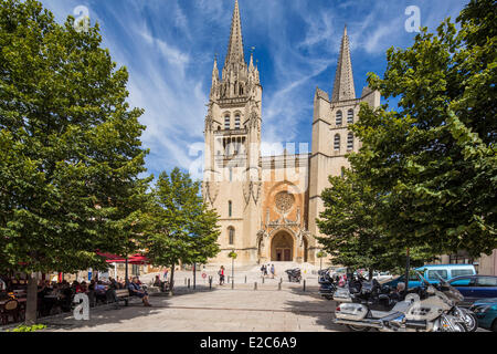 France, Lozere, Gevaudan, Lot Valley, Mende, Notre Dame et Saint Privat Cathedral Stock Photo