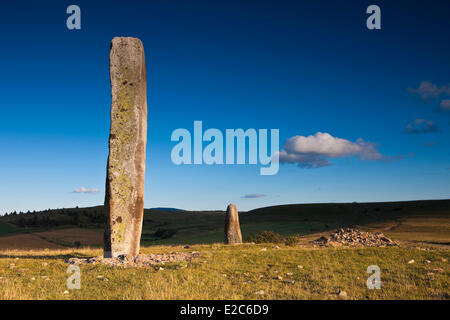 France, Lozere, the Causses and the Cevennes, Cham Bondons, limestone plateau, Trail Menhirs Stock Photo