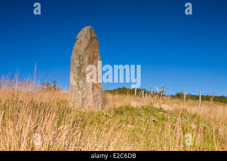France, Lozere, the Causses and the Cevennes, Cham Bondons, limestone plateau, Trail Menhirs Stock Photo