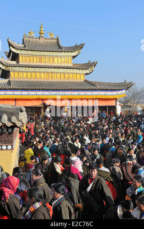 China, Qinghai, Amdo, Tongren, Monastery of Gomar, Losar (New Year festival) Stock Photo