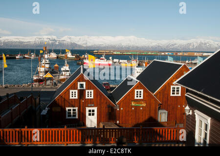 Iceland, Nordurland Eystra region, Skjalfandi Bay, Husavik, fishing port, whaling ship Stock Photo