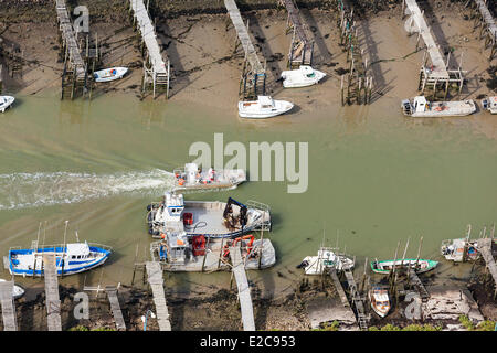 France, Vendee, Beauvoir sur Mer, Port du Bec (aerial view) Stock Photo