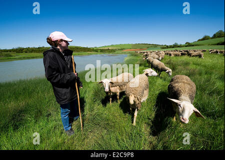 France, Aveyron, La Rouquette, the shepherd Severine Boudes and his flock Stock Photo