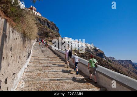 Greece, Cyclades, Aegean Sea, Santorini (Thira or Thera), ascent from the sea to reach the village of Thira Stock Photo