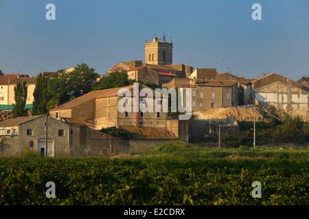 France, Herault, Boujan sur Libron, vineyards of the Domain Haute Condamine with the background village Stock Photo