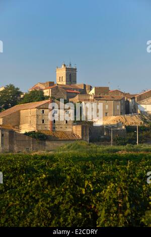 France, Herault, Boujan sur Libron, vineyards of the Domain Haute Condamine with the background village Stock Photo