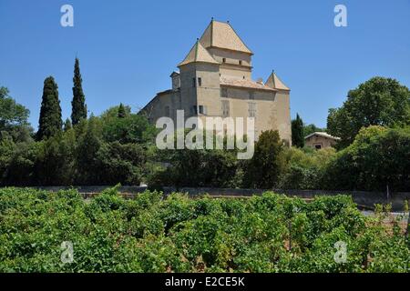 France, Herault, Lieurant les Beziers, Ribaute castle of 16th century of Renaissance style, vineyard from the Languedoc with a manor house in roofs in detached house dating the reign of Henri IV Stock Photo