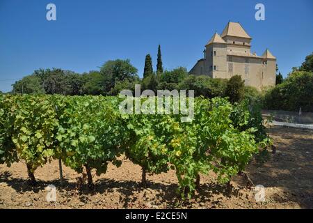 France, Herault, Lieurant les Beziers, Ribaute castle of 16th century of Renaissance style, vineyard from the Languedoc with a manor house in roofs in detached house dating the reign of Henri IV Stock Photo