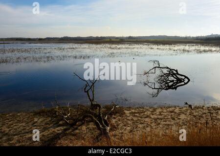 France, Indre, Berry, Natural Regional Park of La Brenne, Purais pond Stock Photo