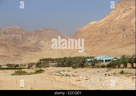 Palestine, West Bank (disputed territory), Kibbutz on the Dead Sea Stock Photo