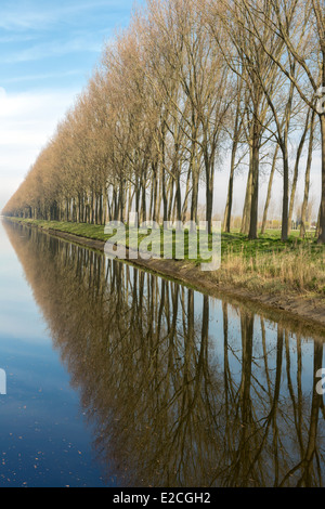 Picturesque view on the Damse Vaart canal in the village of Damme near Bruges in Belgium Stock Photo
