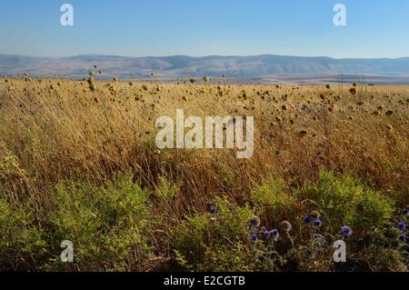 Israel, Northern District, Lower Galilee, Kochav ha-Yarden Nature Reserve Stock Photo