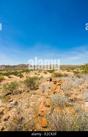 Namibia, Kunene region, Damaraland, Petrified Forest Stock Photo