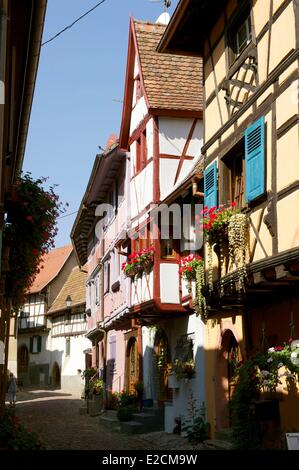 France, Haut Rhin, Alsace Wine Route, Eguisheim, labelled Les Plus Beaux Villages de France (The Most Beautiful Villages of France), traditional half timbered houses Stock Photo