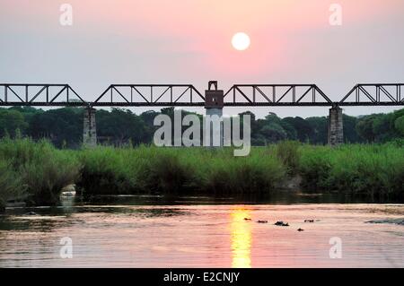South Africa Mpumalanga region the South Kruger National Park old railway over the Sabie river Stock Photo