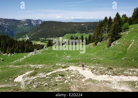 France Haute Savoie female hiker above the Glieres's plateau Stock ...