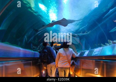 China Hong Kong Ocean Park amusement park aquarium underwater tunnel Stock Photo