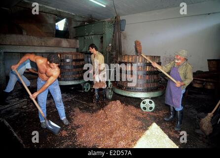 Cyprus Kalo Chorio wine cooperative grape pressing Stock Photo