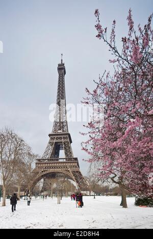 France Paris the Eiffel Tower and cherry blossoms in Champs de Mars under the snow Stock Photo