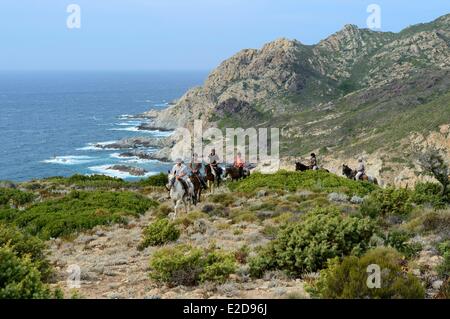 France, Haute Corse, Nebbio, Punta di l'Acciolu (Acciola), riders trekking in the Agriates Desert Stock Photo