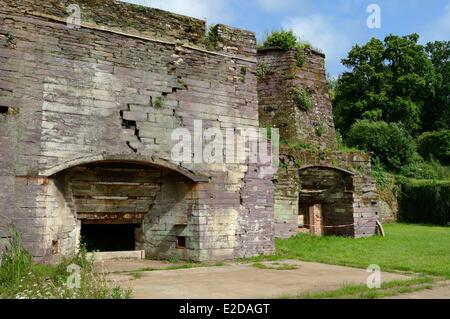 France Ille et Vilaine Broceliande Forest the former forges of Paimpont Stock Photo