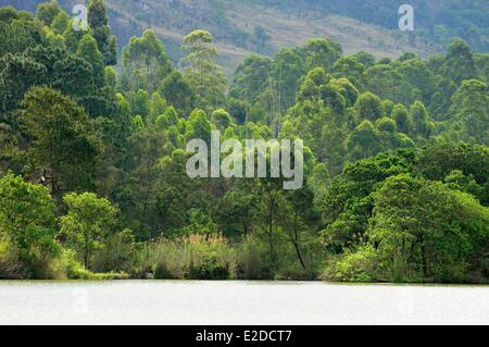 Swaziland Hhohho district Ezulwini valley (valley of Heaven) Mlilwane Wildlife Sanctuary Stock Photo